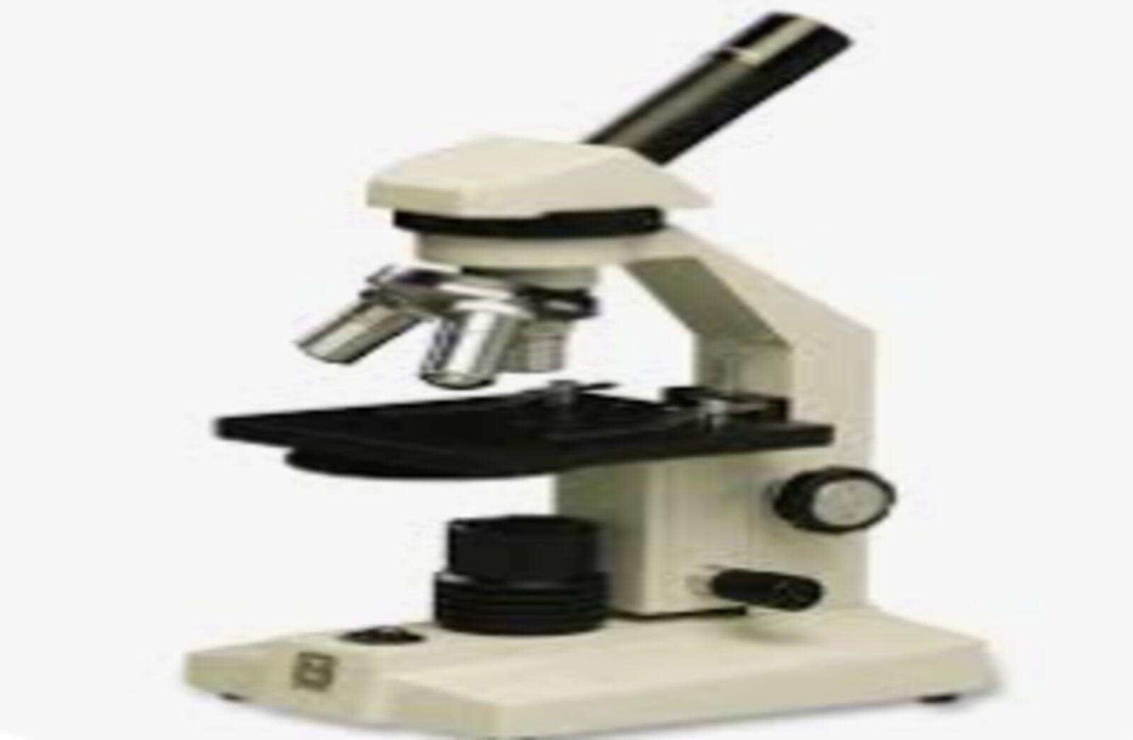 Microscope
